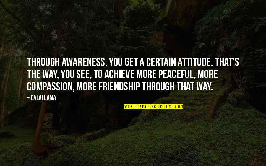 Compassion's Quotes By Dalai Lama: Through awareness, you get a certain attitude. That's
