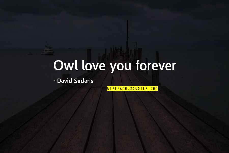 Compatibilities Quotes By David Sedaris: Owl love you forever