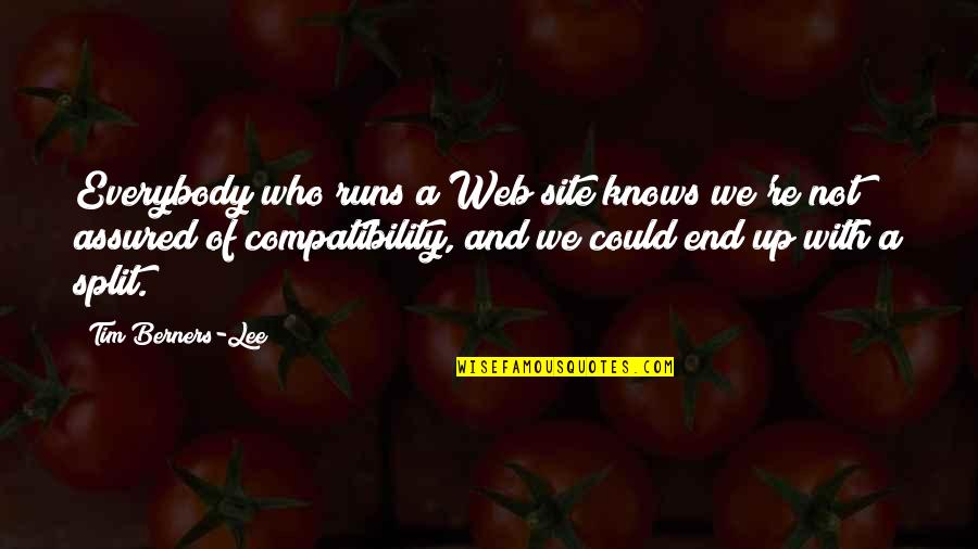 Compatibility Quotes By Tim Berners-Lee: Everybody who runs a Web site knows we're