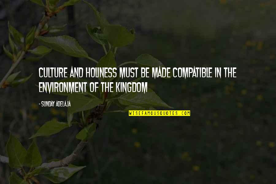 Compatible Quotes By Sunday Adelaja: Culture and holiness must be made compatible in
