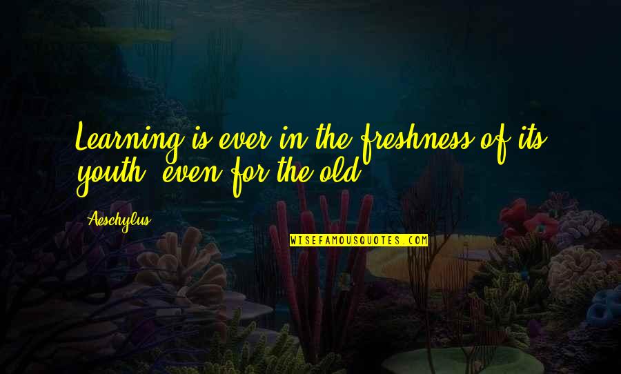 Compensado De Pinus Quotes By Aeschylus: Learning is ever in the freshness of its