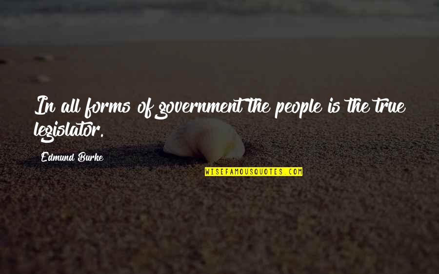 Competativeness Quotes By Edmund Burke: In all forms of government the people is