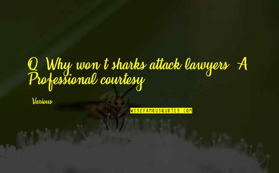Competiello Gerardina Quotes By Various: Q: Why won't sharks attack lawyers? A: Professional
