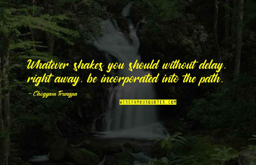 Competing Spectacles Quotes By Chogyam Trungpa: Whatever shakes you should without delay, right away,