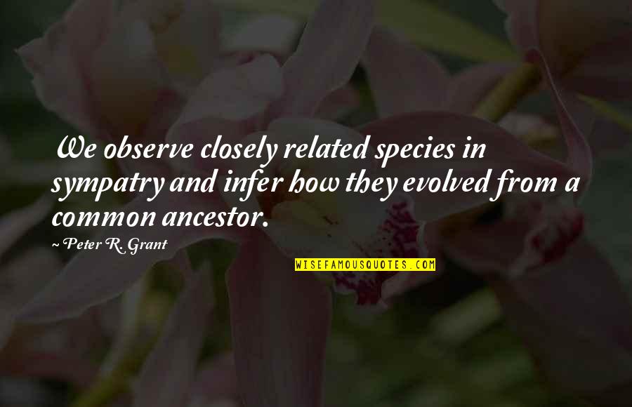 Competing With Other Girl Quotes By Peter R. Grant: We observe closely related species in sympatry and Competing With Other Girl Quotes By Peter R. Grant: We observe closely related species in sympatry and