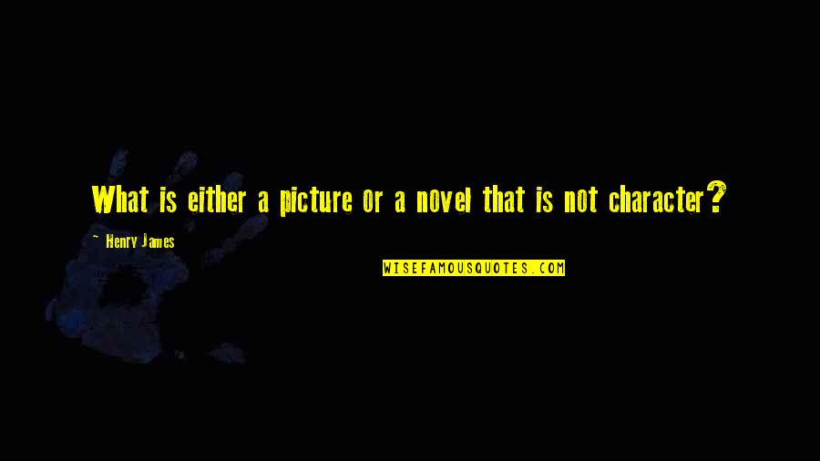 Competition Breeds Innovation Quotes By Henry James: What is either a picture or a novel