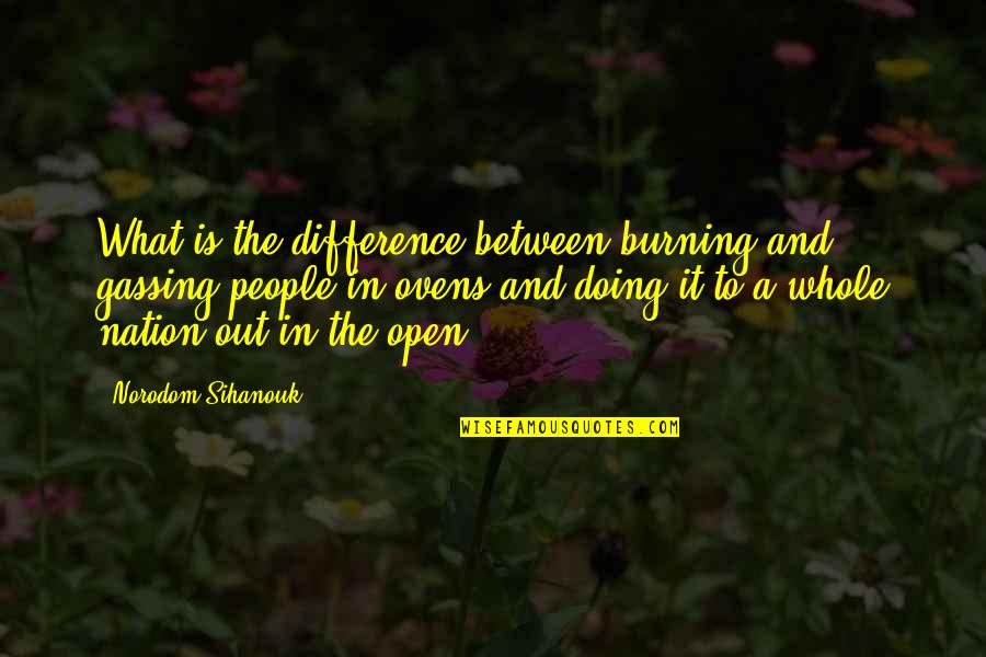 Competitively Quotes By Norodom Sihanouk: What is the difference between burning and gassing Competitively Quotes By Norodom Sihanouk: What is the difference between burning and gassing