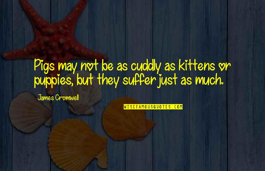 Compiled Thesaurus Quotes By James Cromwell: Pigs may not be as cuddly as kittens