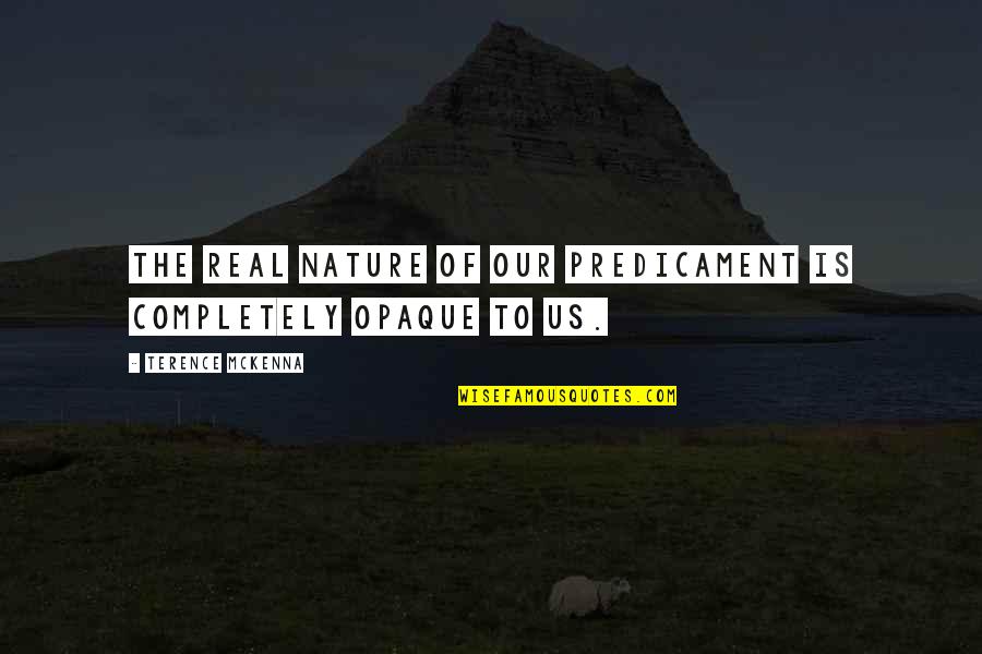 Compiling Synonym Quotes By Terence McKenna: The real nature of our predicament is completely Compiling Synonym Quotes By Terence McKenna: The real nature of our predicament is completely