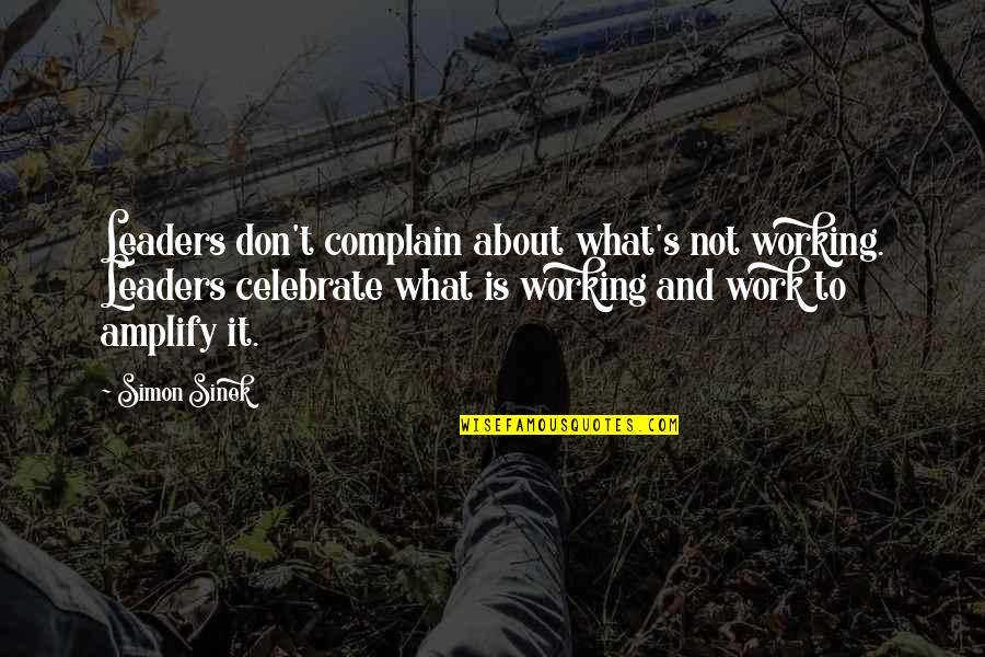 Complaining At Work Quotes By Simon Sinek: Leaders don't complain about what's not working. Leaders
