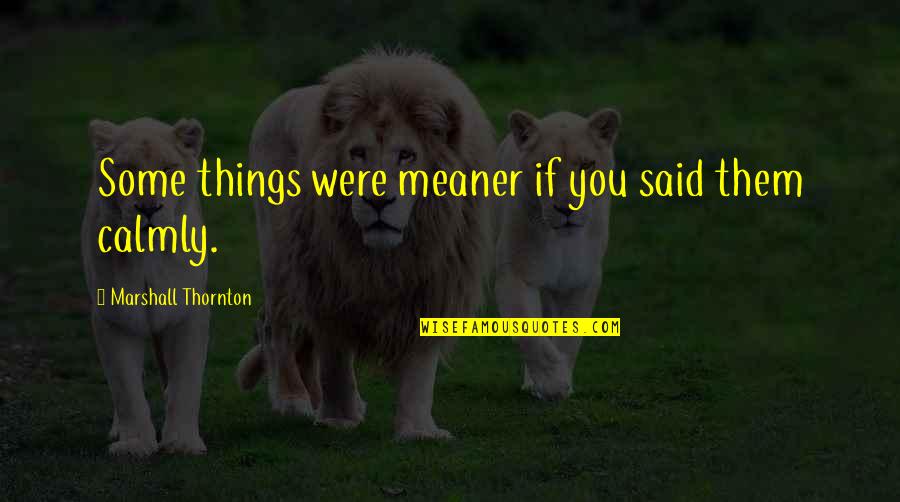 Complementary Therapies Quotes By Marshall Thornton: Some things were meaner if you said them