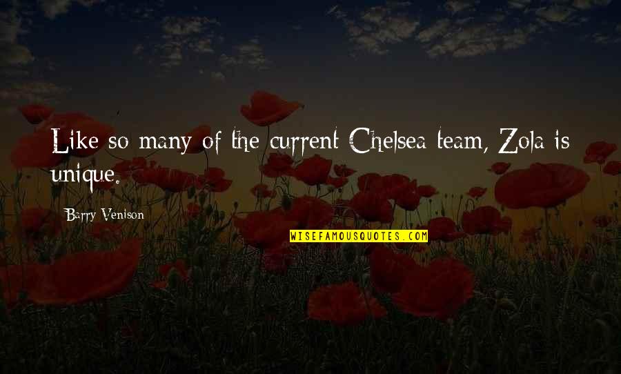 Complesso Museale Quotes By Barry Venison: Like so many of the current Chelsea team,