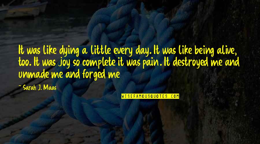 Complete My Day Quotes By Sarah J. Maas: It was like dying a little every day.