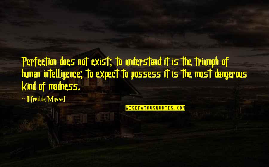 Completely Shocked Quotes By Alfred De Musset: Perfection does not exist; to understand it is
