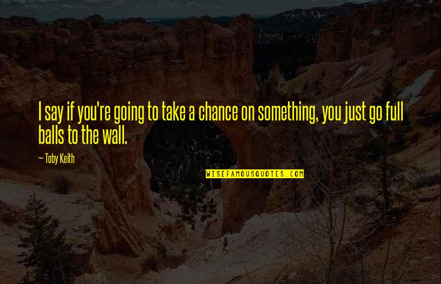Complexity Quotes Quotes By Toby Keith: I say if you're going to take a