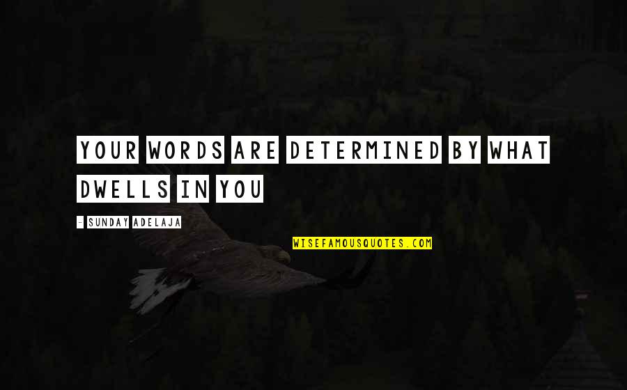 Compliance With Regulations Quotes By Sunday Adelaja: Your words are determined by what dwells in Compliance With Regulations Quotes By Sunday Adelaja: Your words are determined by what dwells in