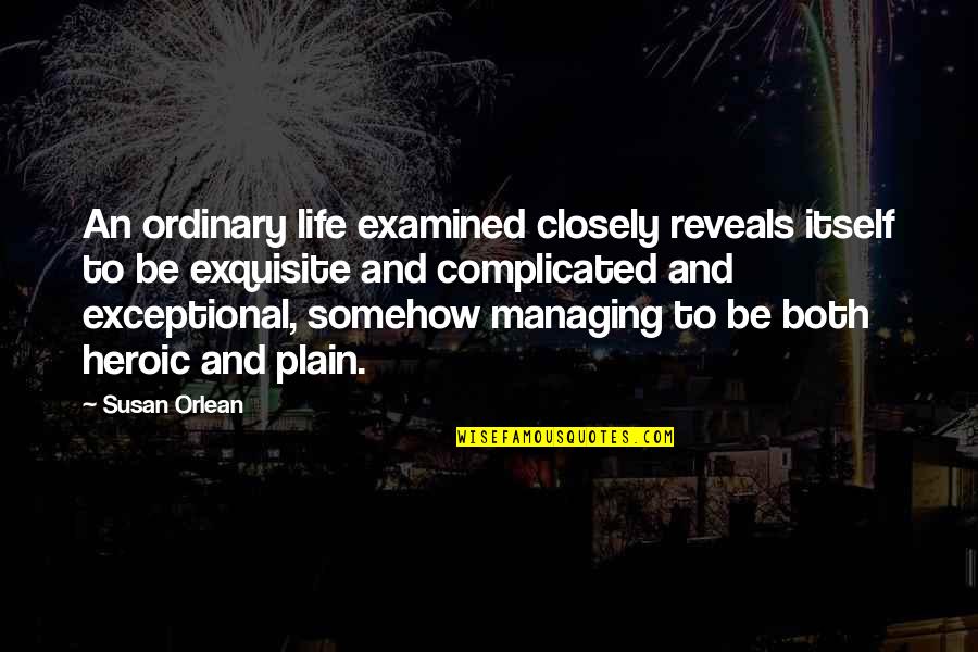 Complicated Life Quotes By Susan Orlean: An ordinary life examined closely reveals itself to