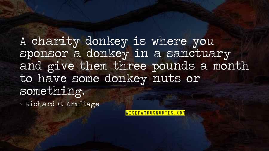 Complicated Person Quotes By Richard C. Armitage: A charity donkey is where you sponsor a