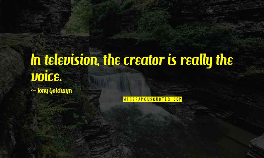 Complicated Person Quotes By Tony Goldwyn: In television, the creator is really the voice.