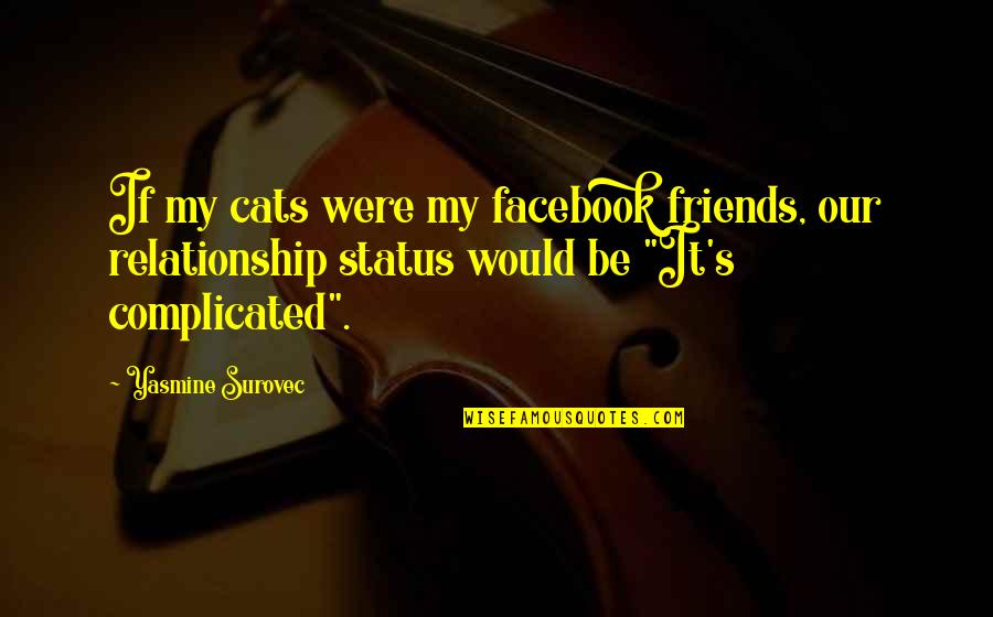 Complicated Relationship Quotes By Yasmine Surovec: If my cats were my facebook friends, our