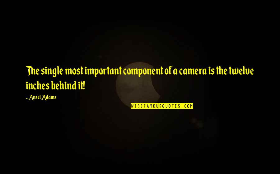 Component Quotes By Ansel Adams: The single most important component of a camera