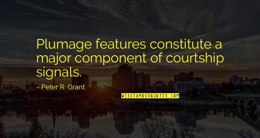 Component Quotes By Peter R. Grant: Plumage features constitute a major component of courtship