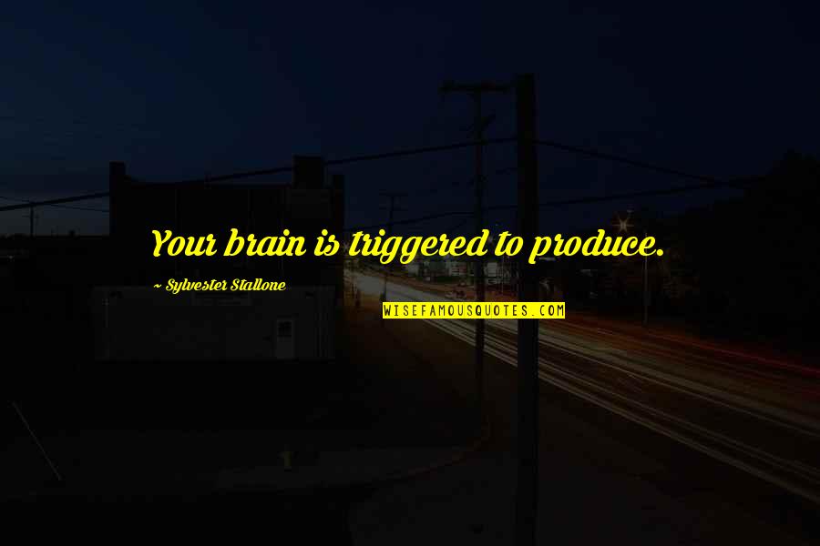 Componenten Quotes By Sylvester Stallone: Your brain is triggered to produce.