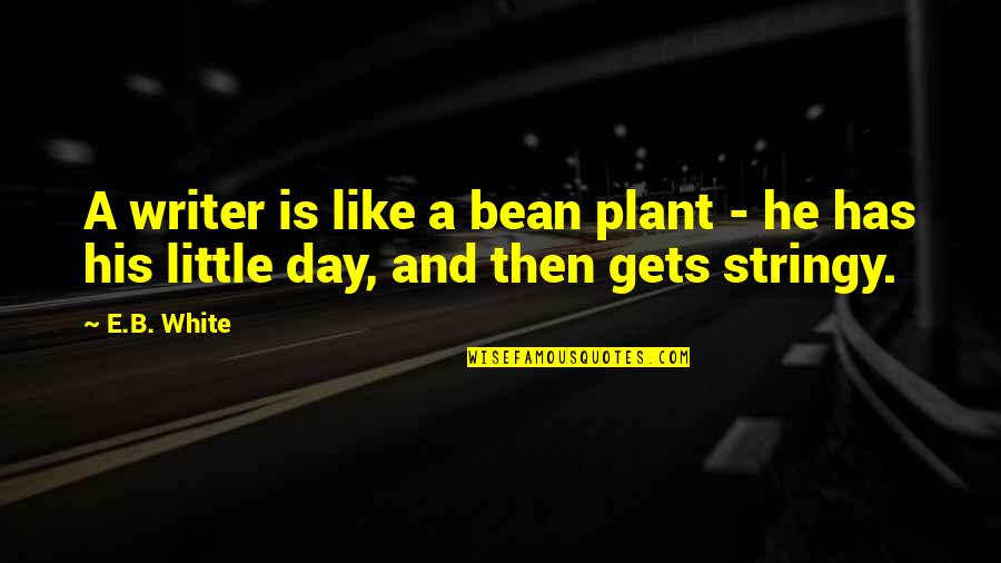 Compository Quotes By E.B. White: A writer is like a bean plant -