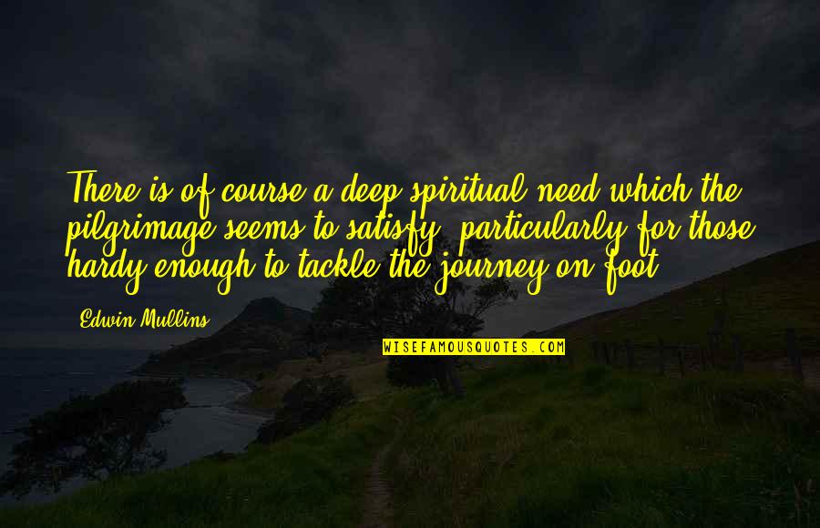 Compostela De Santiago Quotes By Edwin Mullins: There is of course a deep spiritual need