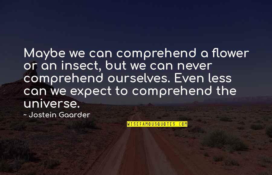 Comprehend Quotes By Jostein Gaarder: Maybe we can comprehend a flower or an