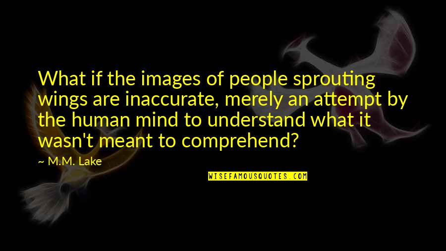 Comprehend Quotes By M.M. Lake: What if the images of people sprouting wings