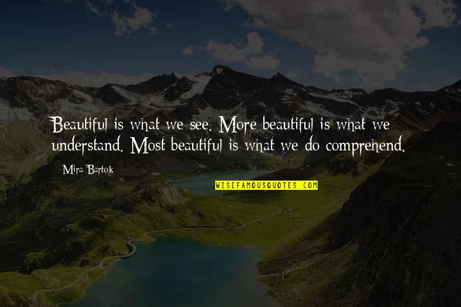 Comprehend Quotes By Mira Bartok: Beautiful is what we see. More beautiful is