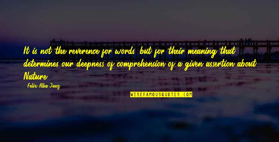 Comprehension Quotes By Felix Alba-Juez: It is not the reverence for words, but