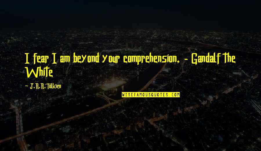 Comprehension Quotes By J.R.R. Tolkien: I fear I am beyond your comprehension. -