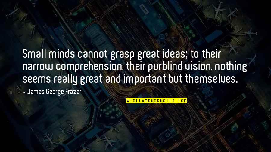 Comprehension Quotes By James George Frazer: Small minds cannot grasp great ideas; to their