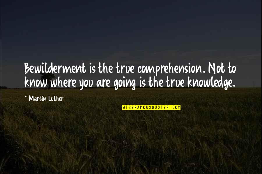 Comprehension Quotes By Martin Luther: Bewilderment is the true comprehension. Not to know