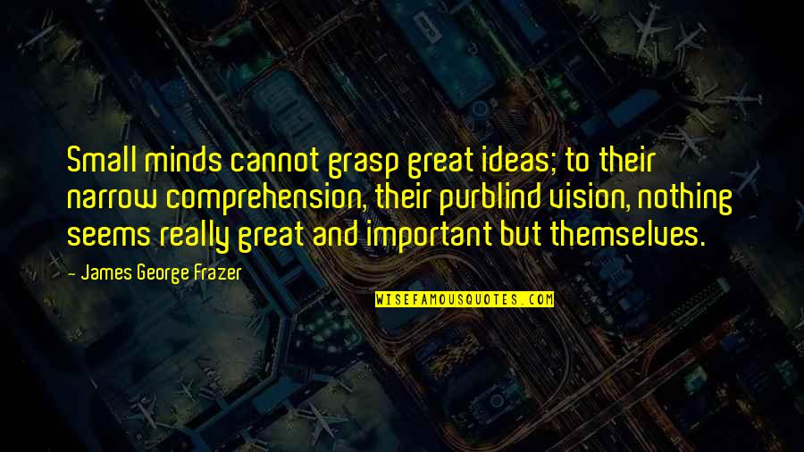 Comprehension The Great Quotes By James George Frazer: Small minds cannot grasp great ideas; to their