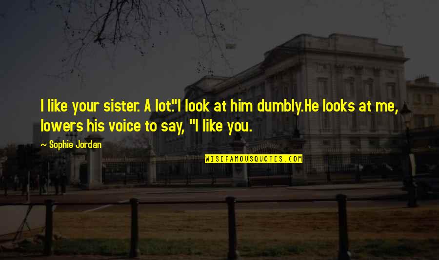 Comprese Sterile Quotes By Sophie Jordan: I like your sister. A lot."I look at Comprese Sterile Quotes By Sophie Jordan: I like your sister. A lot."I look at