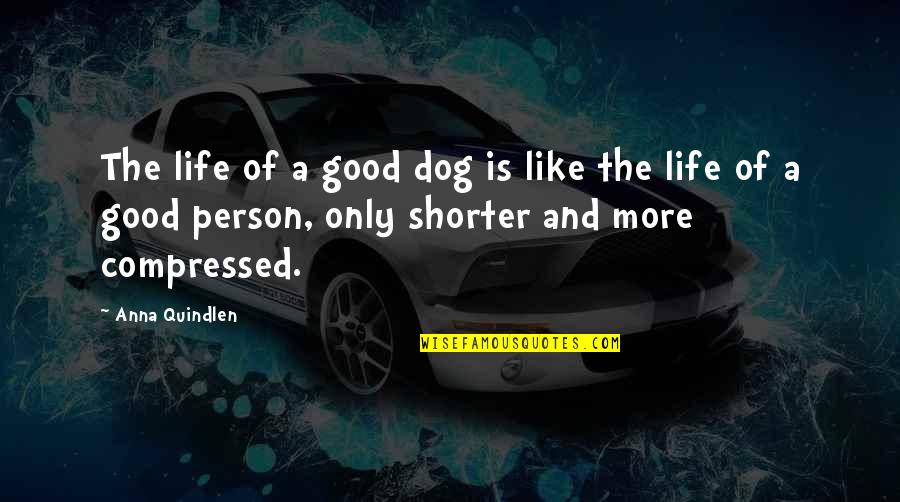 Compressed Quotes By Anna Quindlen: The life of a good dog is like