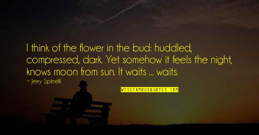 Compressed Quotes By Jerry Spinelli: I think of the flower in the bud: