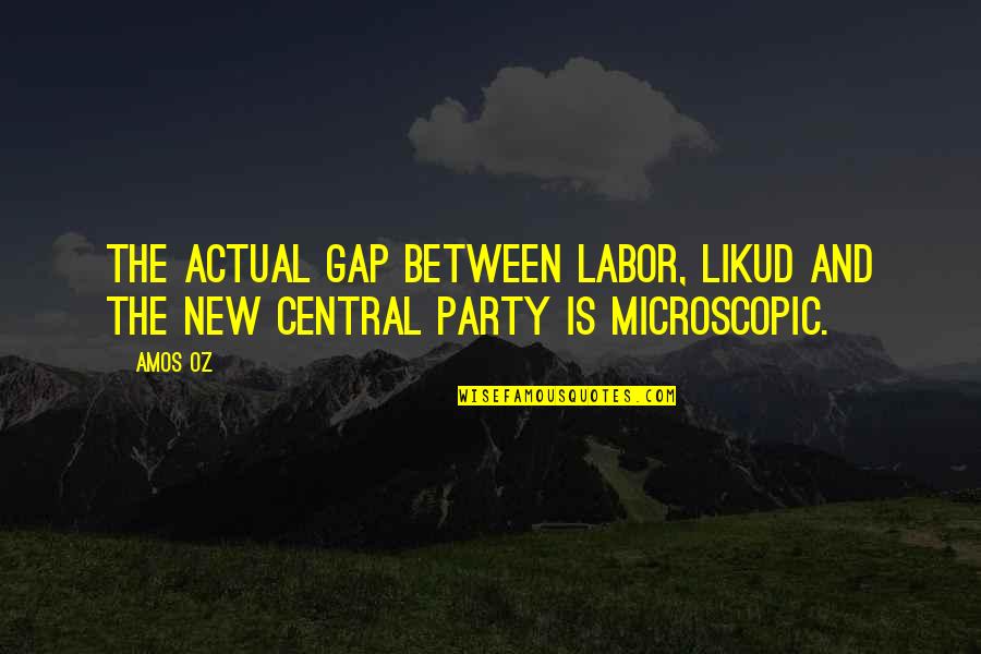 Compulsivo Definicion Quotes By Amos Oz: The actual gap between Labor, Likud and the