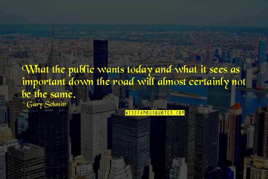 Computer Application Technology Quotes By Gary Schmitt: What the public wants today and what it