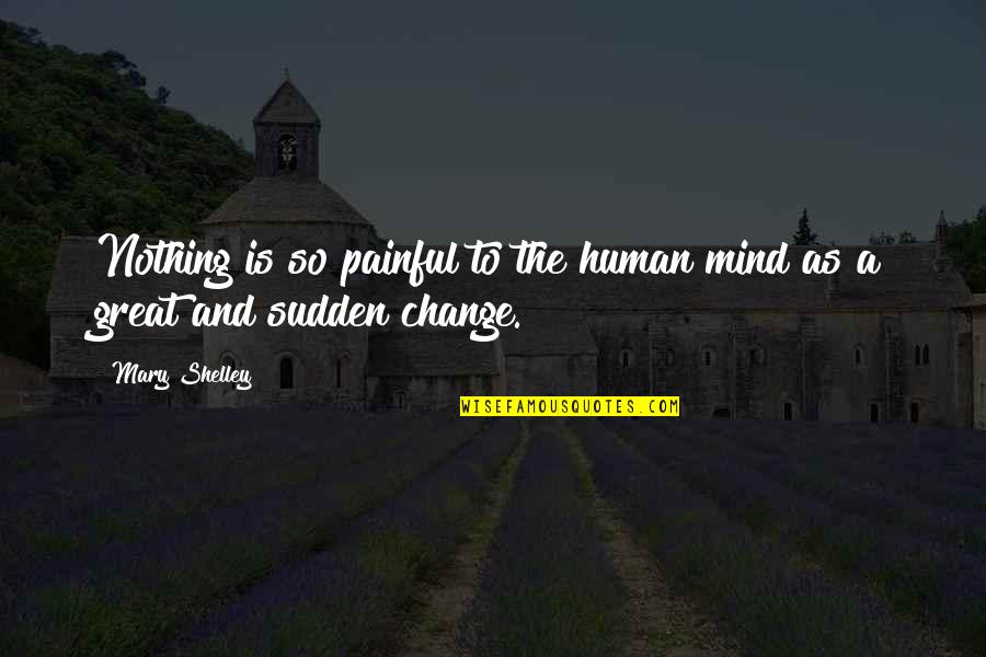 Computer Programing Quotes By Mary Shelley: Nothing is so painful to the human mind