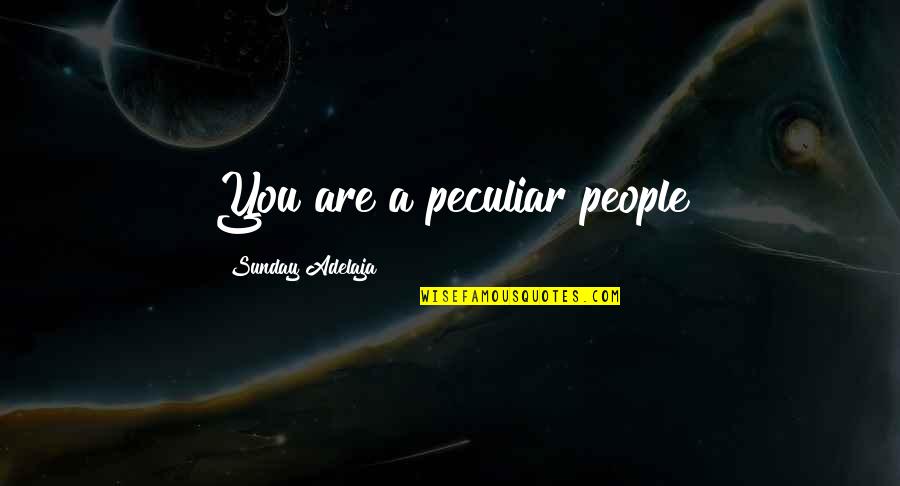 Comte De Rochambeau Quotes By Sunday Adelaja: You are a peculiar people