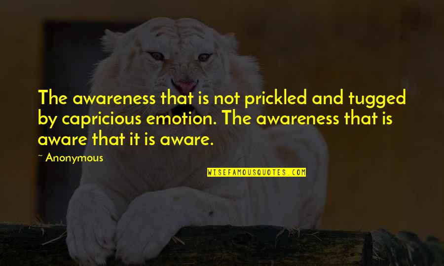 Comtesse De Castiglione Quotes By Anonymous: The awareness that is not prickled and tugged