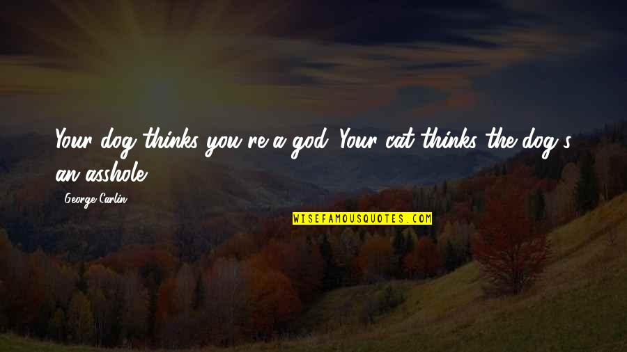 Comunitaria Propiedad Quotes By George Carlin: Your dog thinks you're a god. Your cat