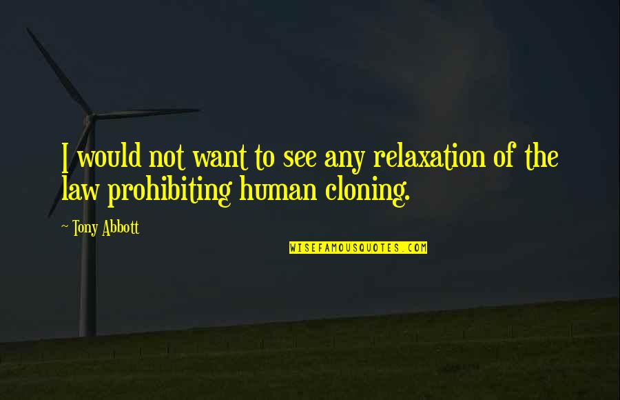 Con Cloning Quotes By Tony Abbott: I would not want to see any relaxation