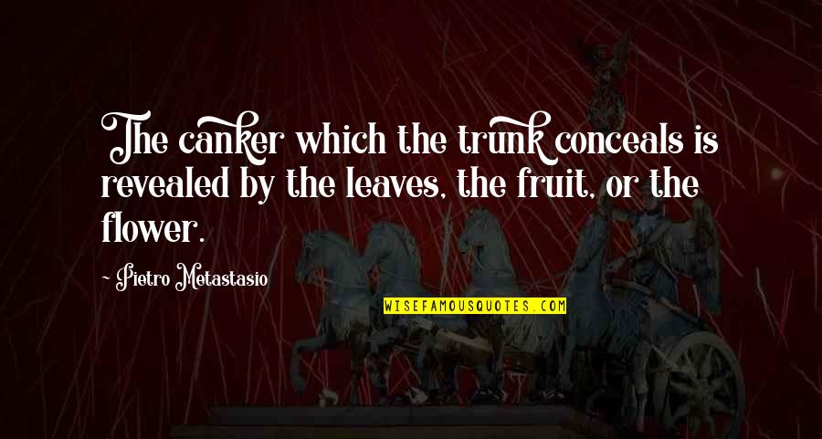 Conceals Quotes By Pietro Metastasio: The canker which the trunk conceals is revealed