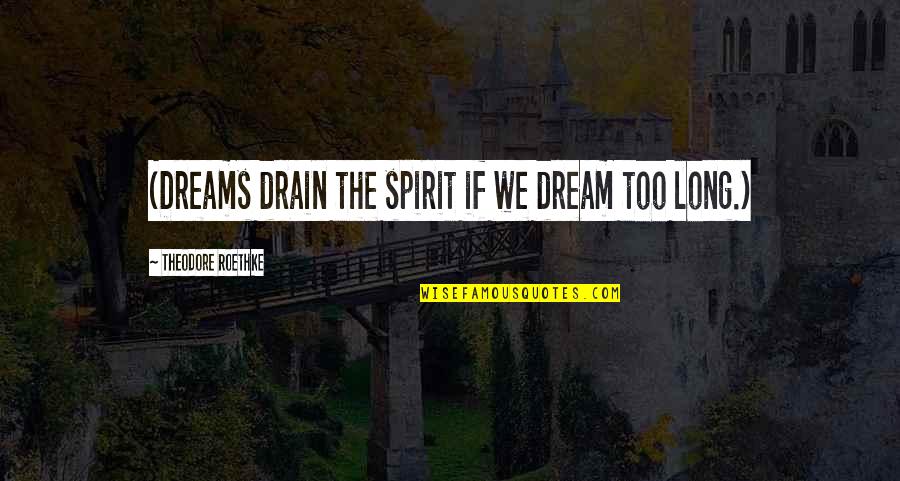 Concedido Quotes By Theodore Roethke: (Dreams drain the spirit if we dream too
