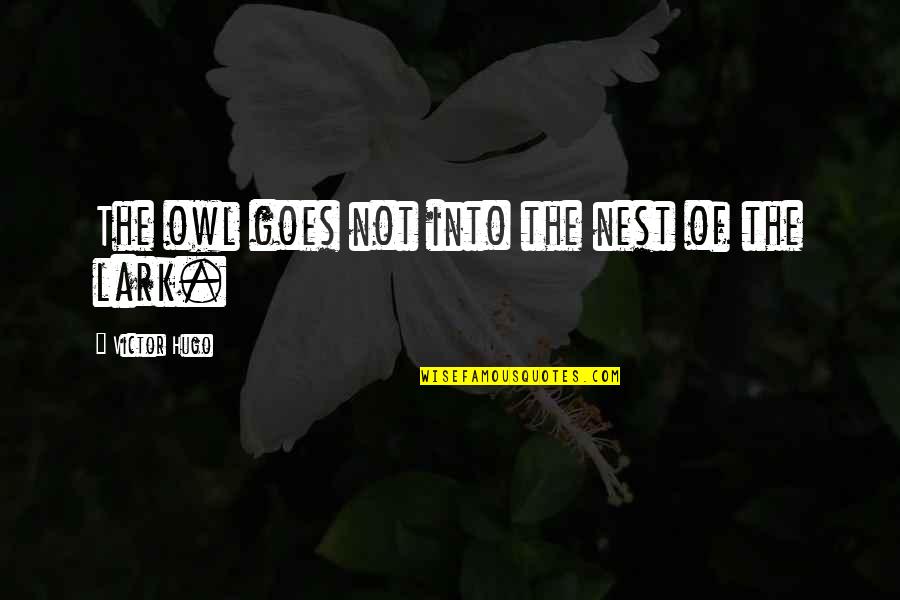 Conceicao Estoi Quotes By Victor Hugo: The owl goes not into the nest of